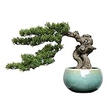 DNCG Künstlicher Bonsai-Baum, Bonsai-Thuja-Kiefer, einladende Kiefer, Bonsai-Grünpflanze, Heimbüro, Desktop, Gartendekoration, Ornamente, gefälschte Topfp