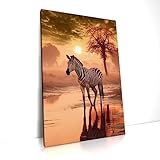 Zebra - Leinwand Bild - Afrika Sonnenuntergang Wandbild aufhängefertig Kunst Druck Bilder Wand Deko Modern Art XXL Wohnzimmer (120 x 80 cm, Leinwand auf Keilrahmen, Zabra)