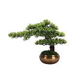 DNCG Künstlicher Bonsai-Baum, künstliche Pflanze, Thuja, grüne Pflanze, Bonsai, geeignet for Zuhause, Wohnzimmer, Arbeitszimmer, Couchtisch, Teestube, Desktop-Dekoration, gefälschte Topfp