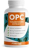 OPC Traubenkernextrakt - 240 OPC Kapseln mit 75% reinem O.P.C. je Kapsel - laborgeprüft (HPLC-Methode) mit Zertifikat: Echte 75% O.P.C.-Gehalt - 500 mg Traubenkernextrakt je Kapsel - 100% veg