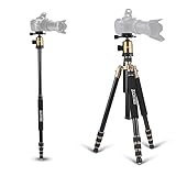 Zomei Z818 165,1 cm Professional Tragbare Aluminium Einbeinstativ Stativ mit 360-Grad-Kugelkopf 1/10,2 cm Schnellwechselplatte und Wasserwaage für Canon Nikon Sony Digital DSLR