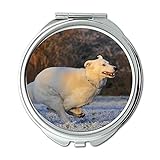 Spiegel, Compact Spiegel, Schweizer Schäferhund Dog Race Frost Winter Cold, Taschenspiegel, tragbarer Spieg