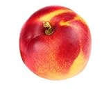 Zwerg-Nektarine 100-120 cm Stämmchen Prunus persica nucipersica – Kompakter Obstbaum für Balkon & Garten, Früchte mit süßem Geschmack, ideal für kleine G