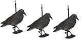 Hillfield Schwarzer Rabe fliegend oder sitzend Kunststoff Taubenschreck Taubenabwehr Vogelschreck (3 Raben stehend)