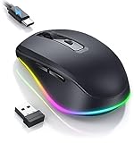 seenda Kabellose Maus LED, Wiederaufladbar Maus Kabellos mit Maus Jiggler, Leise 2.4G USB Funkmaus für Laptop, Computer Wireless Mouse Beleuchtet DPI 2000 für PC, Windows, MAC OS-Schw