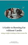 A Guide to Burning Fat without Cardio: Using weight training to burn more fat (English Edition)