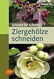 Ziergehölze schneiden: Schnitt für S