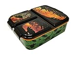 Theonoi Kinder Brotdose Lunchbox Sandwichbox - Brotdose Kinder Lunchbox mit Fächern - Brotbox mit Unterteilung -Kindergarten - Kinder Brotdose Kunststoff BPA frei (Dinosaurier Dino)