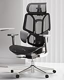 Hbada Ergonomischer Bürostuhl E3, Bürostuhle mit Verstellbarer Hoher Rückenlehne, Lordosenstütze, 3D Kopfstütze, 3D Armlehnen, Netzstuhl, Schw