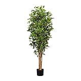 wohnfuehlidee Kunstpflanze Ficus Benjamini, grün, Naturstamm, inklusive Kunststoff-Topf, Höhe ca. 150