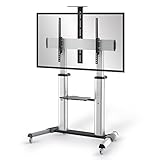 conecto LM-FS03G Pro TV Ständer Standfuß rollbar Universal für Monitor Fernseher LCD LED Plasma mobil mit Rollen höhenverstellbar schwenkbar drehbar 55-100 Zoll (152-254cm) VESA 200x200 1000x600