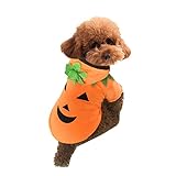 Filhome Halloween Hundemantel Haustiere Kürbis Kostüm Hundekostüm Hoodie Mantel Plüsch Cosplay Bekleidung für Kleine Mittlere H