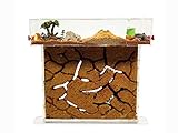 ANTHILLSHOP - Ameisenfarm T- Großer Natürlicher Sand (Acryl) 25x20x1,5cm - 【Ameisen kostenlos enthalten】