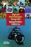 Digitale Unterwasserfotografie - Spiegelreflexk