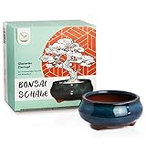 Bonsai Schale Keramik (klein) in Marineblau - Bonsai Topf rund für die perfekte Inszenierung Ihres Zimmerbonsais - 9 x 4,5 x 9