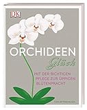Orchideen-Glück: Mit der richtigen Pflege zur üppigen Blütenp