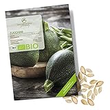 BIO Zucchini Samen Rund (Tondo di Nizza, 5 Korn) - Zucchini Saatgut aus biologischem Anbau ideal für die Anzucht im Garten, Balkon oder T