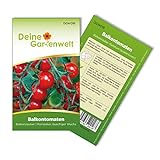 Balkontomaten Balkonzauber Samen - Solanum lycopersicum - Balkontomatensamen - Gemüsesamen - Saatgut für 15