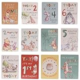 Widdle Gifts Winnie Pooh Baby Milestone Karten Disney Pack 24, Enthält Pooh, Ferkel, Tigger Und Freunde 8200