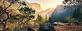 Ravensburger Puzzle 15083 - Yosemite Park - 1000 Teile Puzzle für Erwachsene und Kinder ab 14 Jahren im Panorama-F