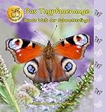 Bunte Welt der Schmetterlinge: Das Tagpfauenaug