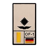 Café Viereck ® Leutnant Luftwaffe Bundeswehr Rank Patch mit Dienstgrad - Gestickt mit Klett – 9,8 cm x 5,6