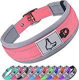 Joytale Hundehalsband, Weich Gepolstertes Neopren Breit Hunde Halsband für Mittlere Hunde, Verstellbares und Reflektierendes Nylon Hundehalsband, Pink