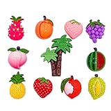 Reddomm 11PCS Supplies Kit Fruit Decoration Crafts Filler for DIY Making Musiklichter (As Show, One Size)