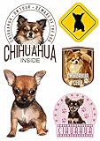 aprom Chihuahua 5 x Aufkleber Kopf Pfoten Set Karte Sticker-Bogen - 165 x 230 mm - PKW Auto Fahne Flagge H