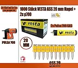 1000 x Vesta GSS Nagel + 2 x Pulsa700/ Pulsa800 Gas (Spit Nägel) (C6 20 mm, Pulsa 700)