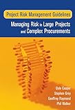 Project Risk Management Guidelines: Managing Risk in Large Projects and Complex