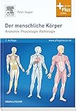 Der menschliche Körper: Anatomie Physiologie Pathologie: Anatomie - Physiologie - Pathologie. Mit dem Plus im Web. Zugangscode im B