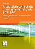 Produktionscontrolling und -management mit SAP® ERP: Effizientes Controlling, Logistik- und Kostenmanagement moderner Produktionssysteme (IT-Professional)