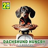 Dachshund Hungry Calendar 2024: Jan 2024 to Dec 2024, Bonus 3 Months last 2023, 15 Months of Dachshund Hungry, Thick & Sturdy Paper, Great Gift For ... Major US Holidays, Kalendar, C