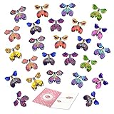 TSHAOUN 25 Magische Fliegende Schmetterling, Schmetterlings Karte für Geburtstagsgeschenke, Wind up Butterfly Fliegender Schmetterling Karte für Geburtstag (Zufällige Farbe)