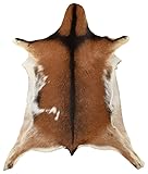 ZIEGENFELL Dunkelbraun BEIGE CA. 80 x 60 cm DEKO Fell VON KUHFELLE ONLINE