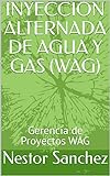 INYECCION ALTERNADA DE AGUA Y GAS (WAG): Gerencia de Proyectos WAG (Spanish Edition)
