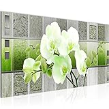 Runa Art Wandbild Blumen Orchidee 1 Teilig 100 x 40 cm Modern Bild auf Vlies Leinwand Abstrakt Wohnzimmer Grün Grau 204612b