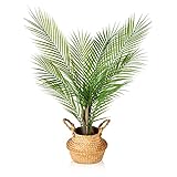 Kunstpflanze Groß Areca Palme 80cm Künstliche Pflanzen Groß im Topf Kunstpalme Fake Pflanzen Plastik Pflanze Dekor(1Pack)