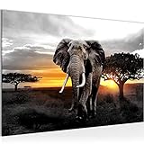 Runa Art Bild Afrika Elefant Modern Wandbilder Wohnzimmer Schlafzimmer 1 Teilig - Made In Germany - Panorama Grau Orange Flur 001215