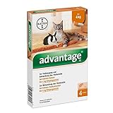 ADVANTAGE 40 mg Lsg.f.kl.Katzen/kl.Zierkaninchen 1.6 ml Lösung by Advantag