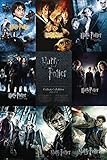 Poster Harry Potter - Staffel Collection - Größe 61 x 91,5 cm - Maxip