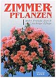 Zimmerpflanzen. Mehr Freude durch richtige Pfleg