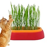 Vesone Katzengras-Wachstumstopf - Hydroponischer Katzengrasbecher - Katzengraskasten für Katzen, Hunde und andere Haustiere im Innen- oder Außenbereich, Sprossenschale, Haustierzubehö