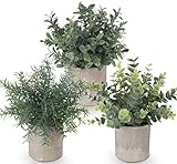 ilauke 3 Stücke Künstliche Pflanzen Mini Kunstpflanzen Echt Eukalyptus Rosmarin Babysbreath Kleine mit Töpfen Tischdeko Haus Balkon Büro Dek