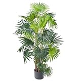 AMARE Dekopflanze Palme im Topf 120