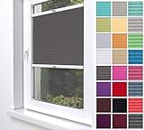 Home-Vision® Premium Plissee Faltrollo ohne Bohren zum Kleben Innenrahmen Blickdicht Sonnenschutz Jalousie für Fenster & Tür (Graphit, B25 x H100cm)