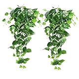 XONOR 2 Stück Künstliche Grüne Hängende Scindapsus Blätter, Gefälschte Ivy Hängende Girlanden für Hochzeit Hausgarten Wanddekoration (2 Stück)