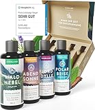 Fjorland Saunaaufguss Set BIO 4 x 100 ml Saunadüfte Geschenkset - Ätherische Saunaaufgüsse in hochwertiger Geschenkbox