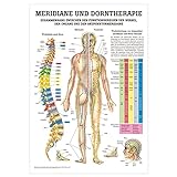 Rüdiger Meridiane u. Dorn Lehrtafel Anatomie 100x70 cm medizinische L